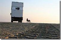 Bild: Weidinger www.shumba.eu